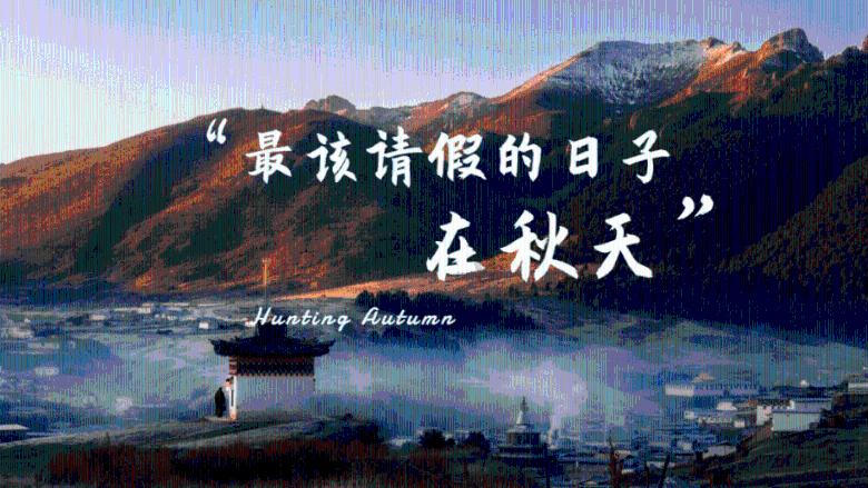 完美的收藏品
